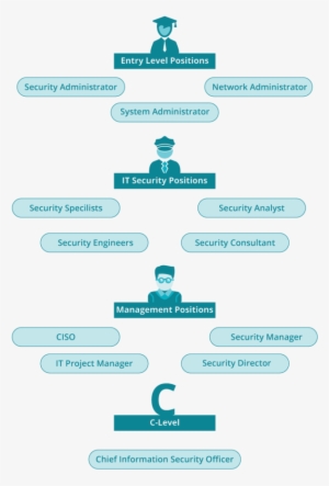 Career-path - C Level Career Paths
