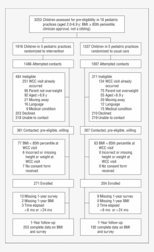 Participant Flow For The High Five For Kids Study - Body Mass Index
