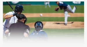 Sports Science: The Science Of Baseball