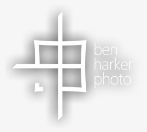 Illustrator Logo - Shelf