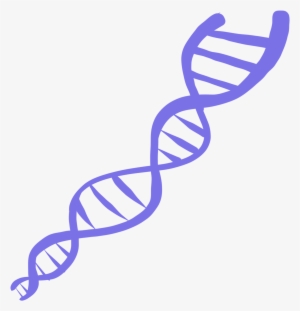 Lazy Dog Pictures - Dog