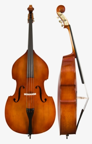 Model 80 Bass - Double Bass Instrument