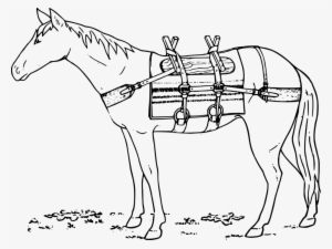 Mule Bridle Mustang Donkey Pack Saddle - Horse