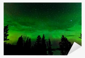 Green Glow Of Northern Lights Or Aurora Borealis Sticker - Aurora