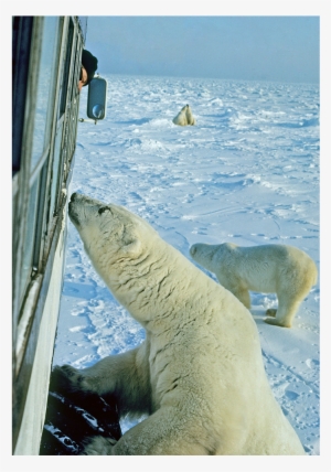 Churchill, Canada - Churchill