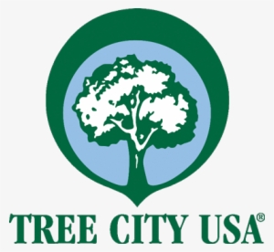 Tree City Usa