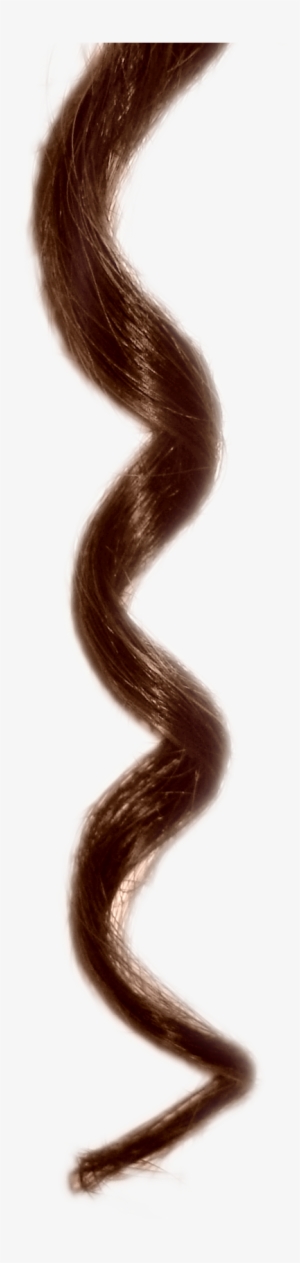 Hair Curl Png - Portable Network Graphics