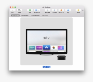 Click 'next' Button - Apple Tv