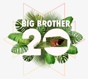 Big Brother - Big Brother Season 20 Episode 1