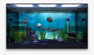 Aquarium App Fills Your Apple Tv With A - Aquarium Png