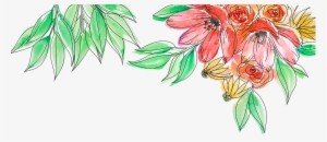 Botanical Line Drawing