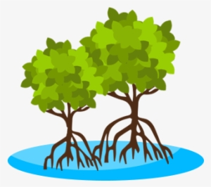 Tree - Nature Reserve Clipart