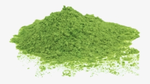 Wheat Grass Png Svg Black And White Library - Barley Grass Powder Png