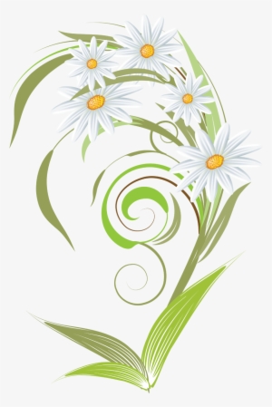Camomile Clipart Transparent Png - Camomile Png
