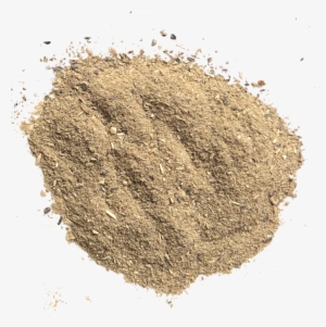 Planetarians Sunmeal Flour - Sand