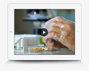 Diamond Flour Mill C - Flat Panel Display