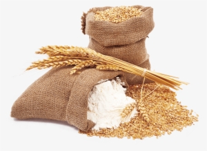 Wheat And Wheat Flour - Wheat Flour Png