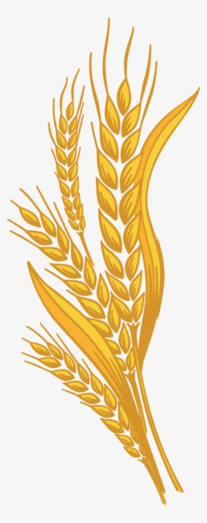 Stone Milled Wheat - Galhos De Trigo Png