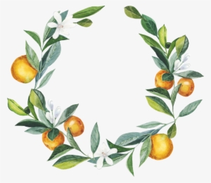 Фото, Автор ✿lili@ ✿ На Яндекс - Orange