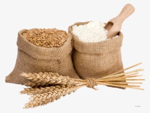 Wheat Png