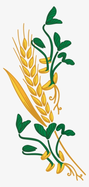 Wheat Clipart Png Download - Whole Grain