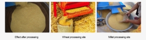 Grain Thresher - Grain