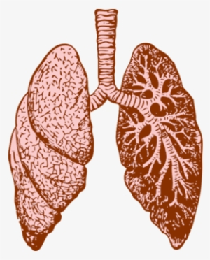 Midphase Mm-121 Fail Continues Merrimack's Losing Streak