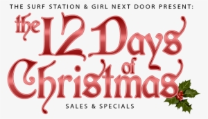 12 Days Of Christmas - 12 Days Of Christmas In 5 Days