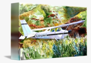 Cessna Drawing Painting - Cessna Peanting