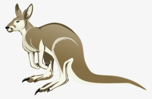 Kangaroo Png Transparent Image - Clipart Kangaroos