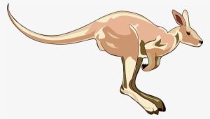 Kangaroo Mammal Marsupial Hopping Animal A - Kangaroo Clip Art