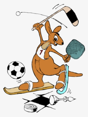 Report - Kangaroo