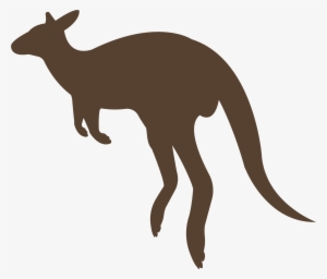 Sour Kangaroo Chasing The Whos Audition - Kangaroo Zoo