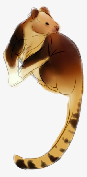 [p] Tree Kangaroo - Tree-kangaroo