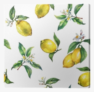 The Seamless Pattern Of The Branches Of Fresh Citrus - Watercolor Painting