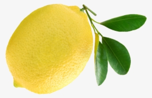 Other Fresh Scents Lemon - Vivere A Lungo Con L'aiuto Degli Agrumi - Haineault