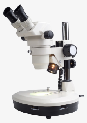 Microscope - Stereo Microscope No Background