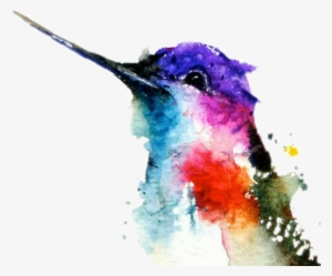 Ave Acuarela Colibri Pico Jardinjardin Colors Frios - Hummingbird Watercolor