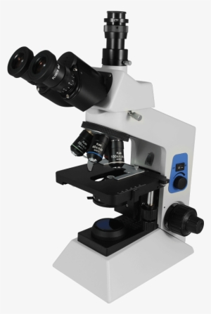Microscope With No Background