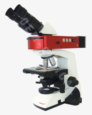 Labomed Fluorescence Microscope