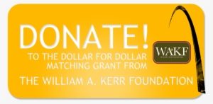Donate Button - Orange