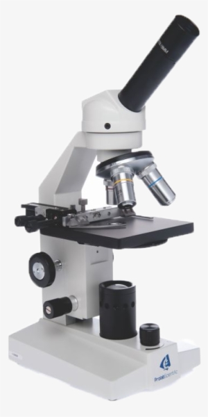 Microscope
