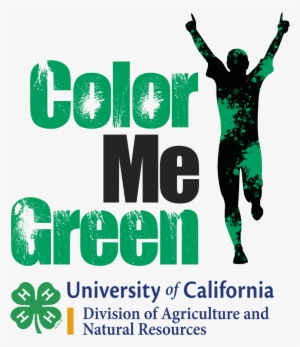 Cmg Logo Transparent Background - Color Me Green Logo