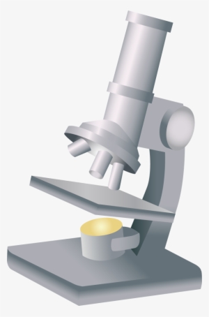 Microscope