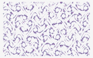 Image - Motif