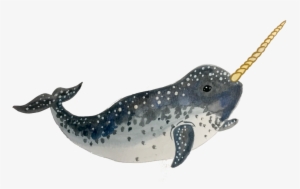Narwhal