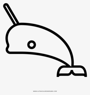 Narwhal Coloring Page - Coloring Book