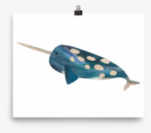 Narwhal