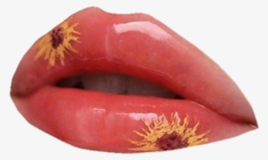 Cosmetics