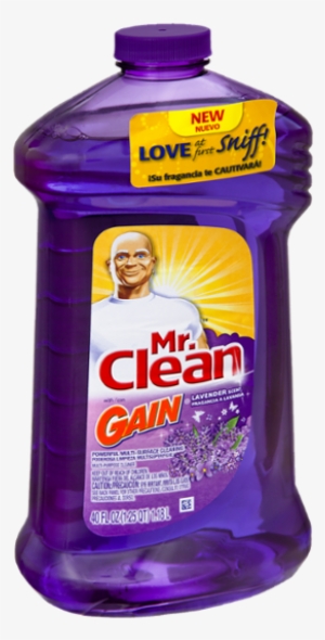 Mr. Clean 40 Fl. Oz. Multi Surface Liquid Cleaner With